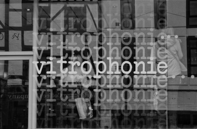 Vitrophaunie : tout savoir pour relooker sa vitrine